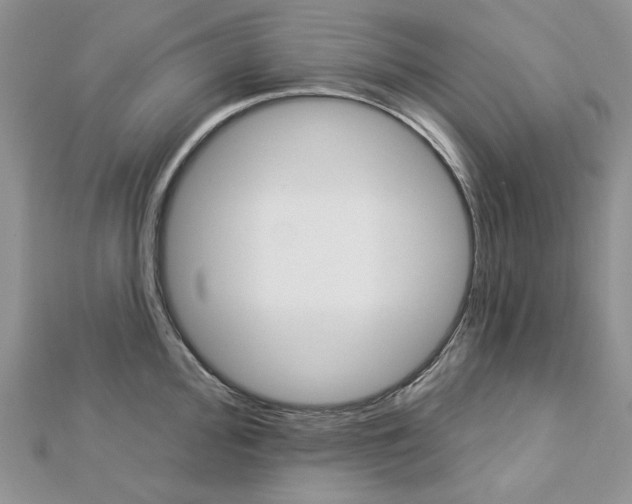 X0000113061000200908280943