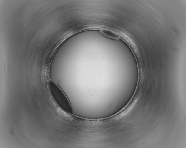 X0000113061001200908280943