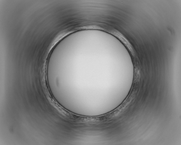 X0000113061002200908280943