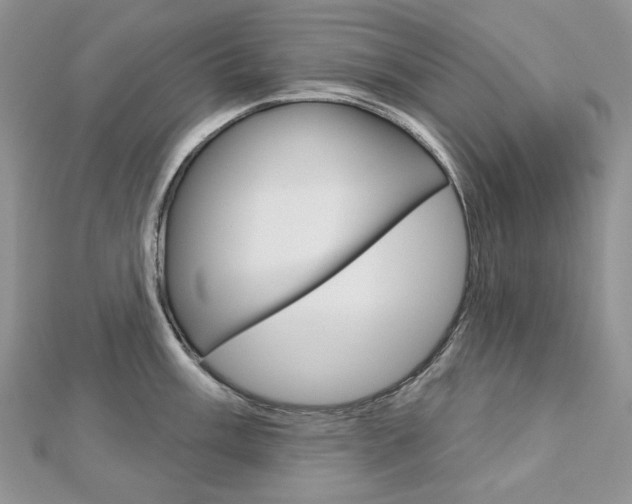 X0000113061003200908280943
