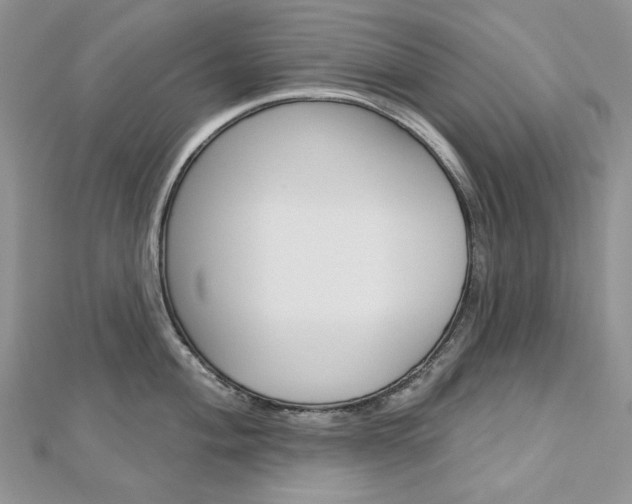 X0000113061004200908280943