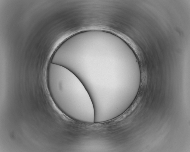 X0000113061006200908280943