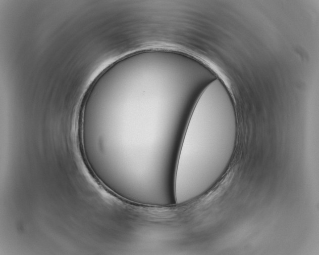 X0000113061007200908280943