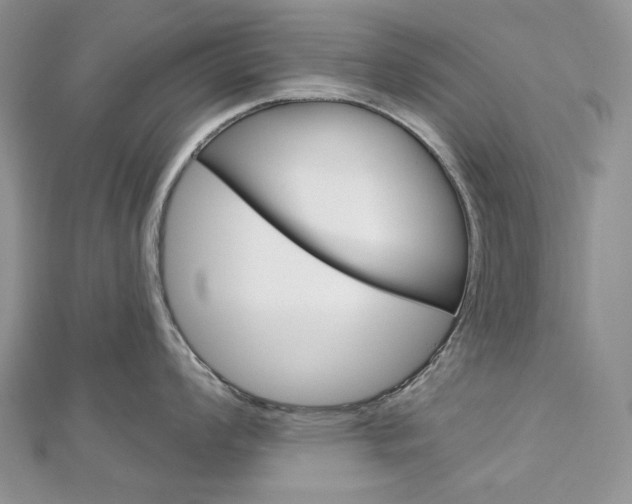 X0000113061008200908280943