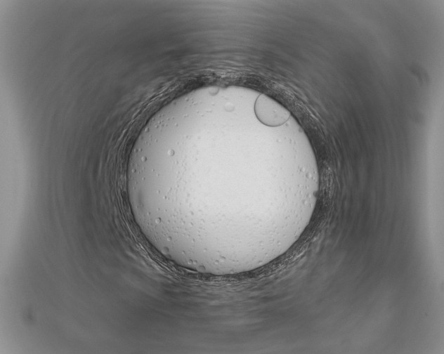 X0000113061009200908280942