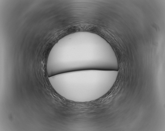 X0000113061010200908280942