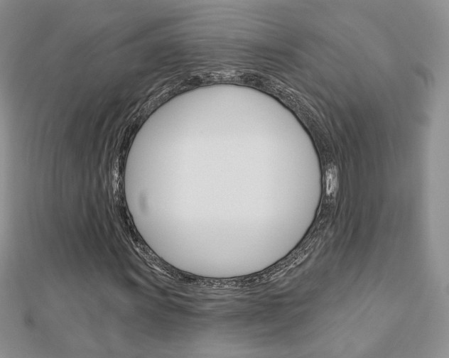 X0000113061011200908280942