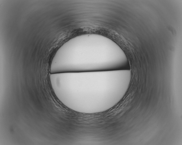 X0000113061012200908280942