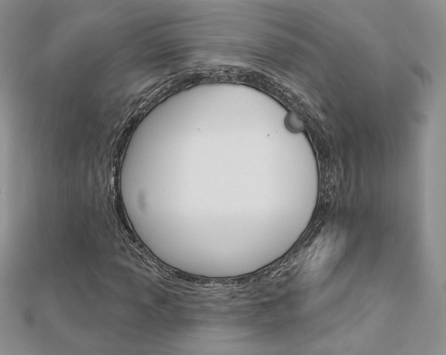 X0000113061013200908280943