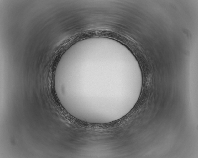 X0000113061014200908280943