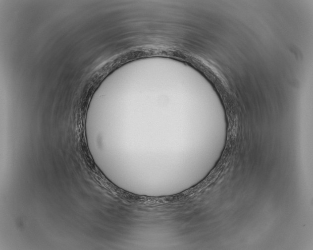 X0000113061015200908280943