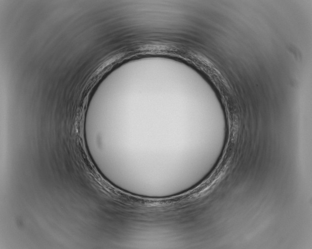 X0000113061017200908280943
