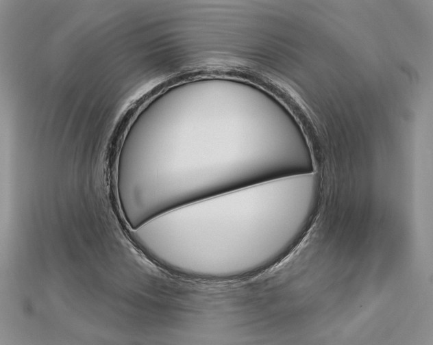 X0000113061018200908280943