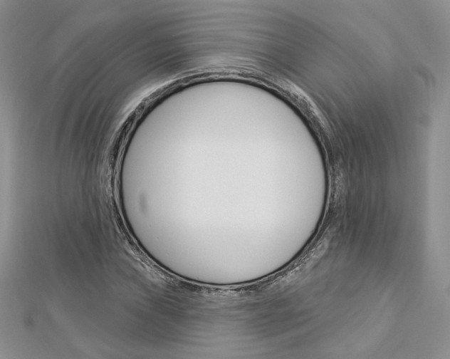 X0000113061019200908280943