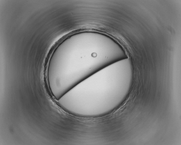 X0000113061020200908280943