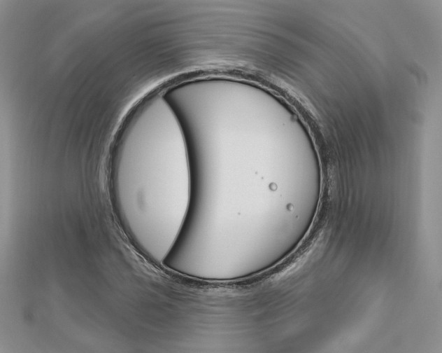 X0000113061021200908280943