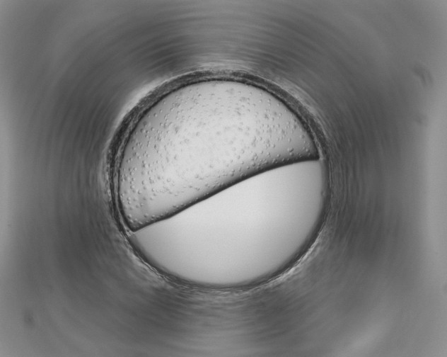 X0000113061022200908280943