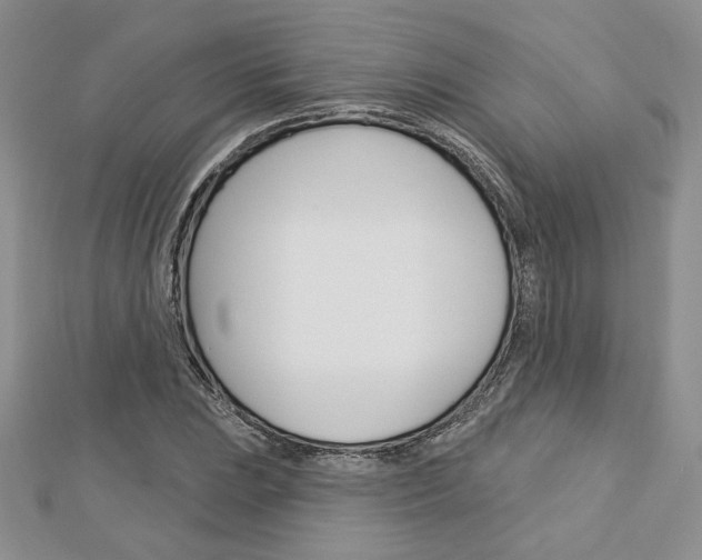 X0000113061023200908280943