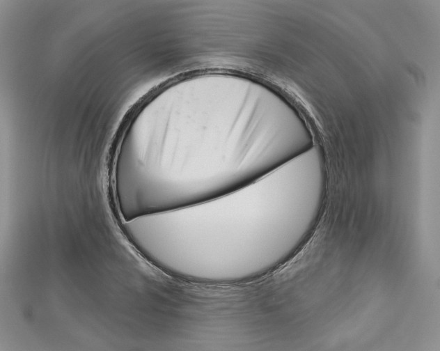 X0000113061024200908280943