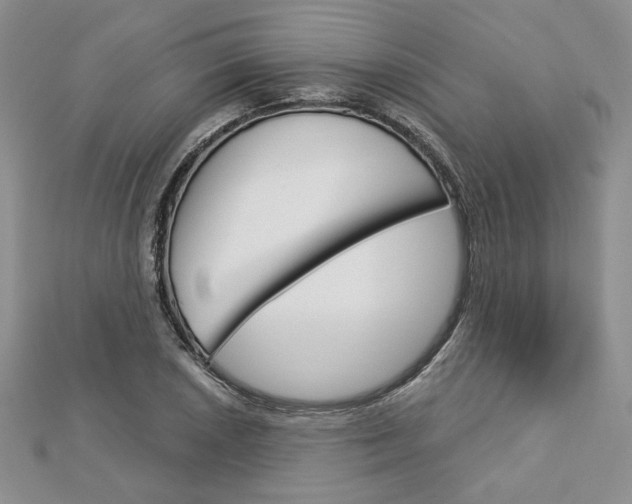 X0000113061026200908280943