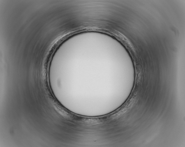 X0000113061027200908280943