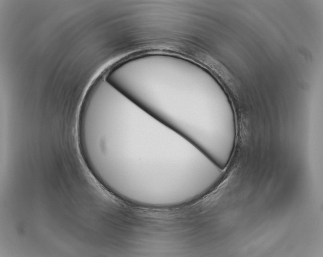 X0000113061028200908280943