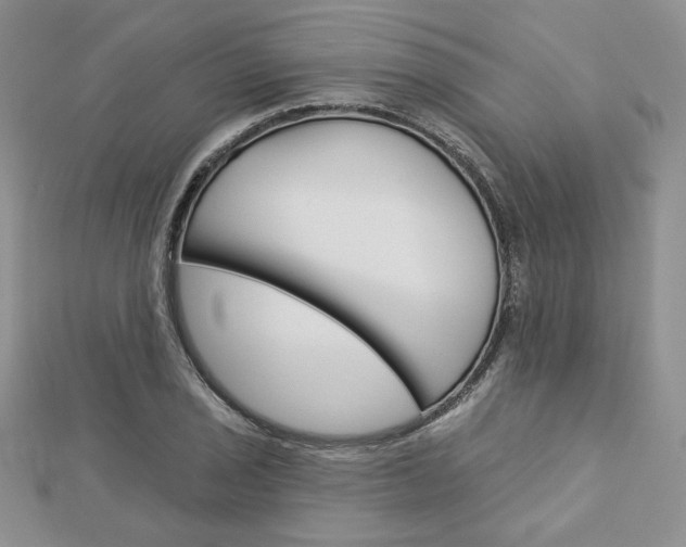 X0000113061029200908280943