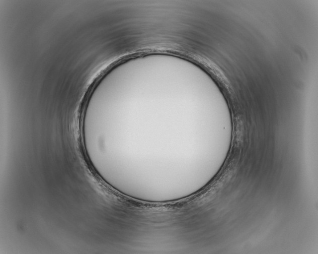 X0000113061031200908280943