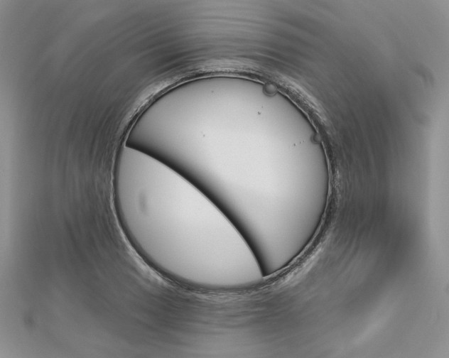 X0000113061033200908280943