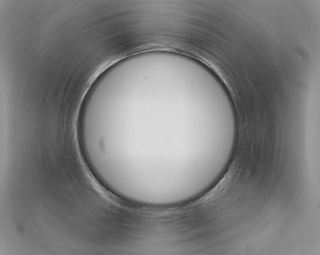 X0000113061034200908280943