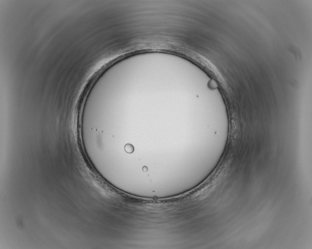 X0000113061035200908280943