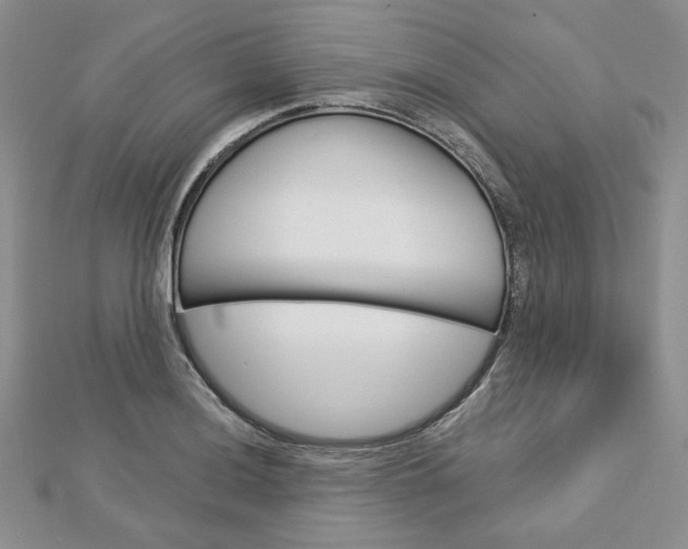 X0000113061036200908280943