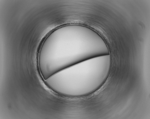 X0000113061038200908280943