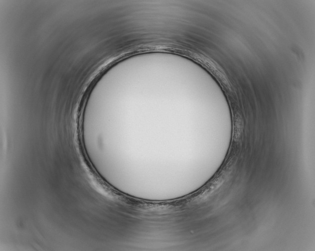 X0000113061039200908280943