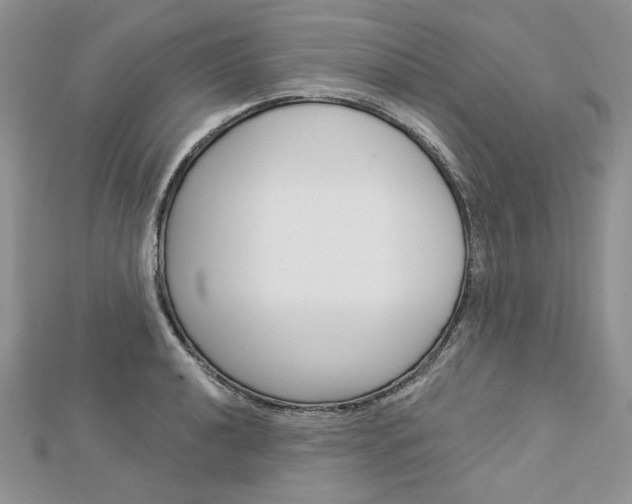 X0000113061040200908280943