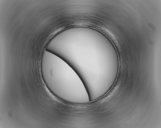 X0000113061041200908280943