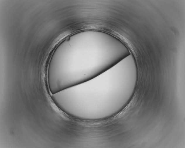 X0000113061042200908280943