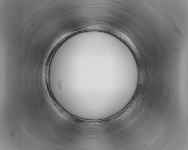 X0000113061043200908280943