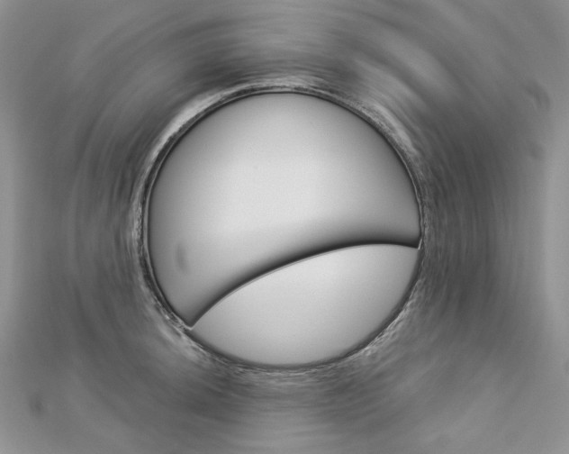 X0000113061044200908280943