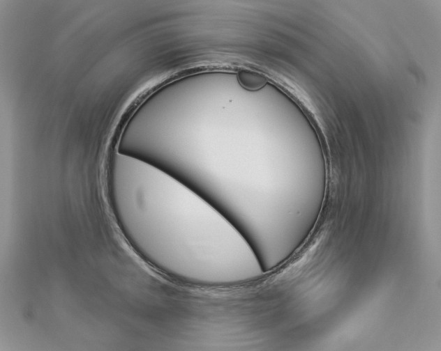 X0000113061045200908280943