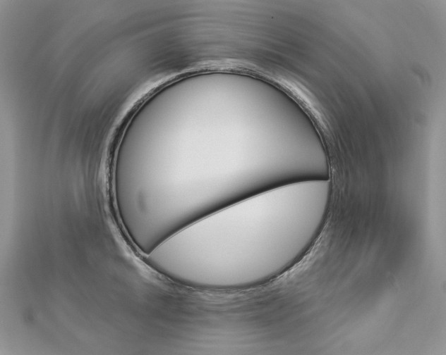 X0000113061046200908280943
