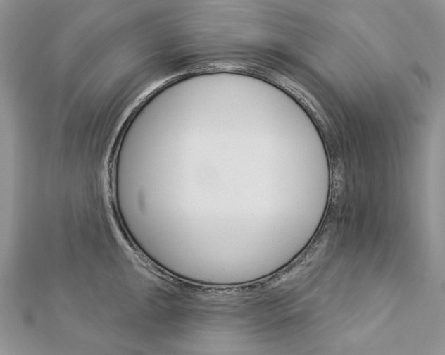 X0000113061047200908280943