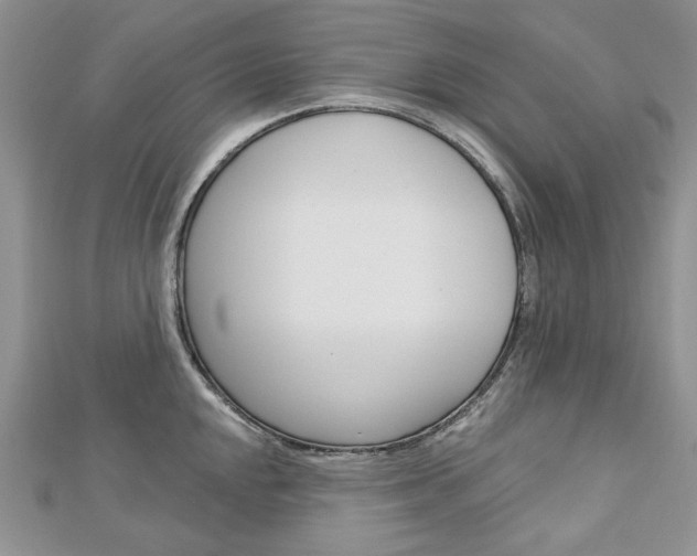 X0000113061048200908280943