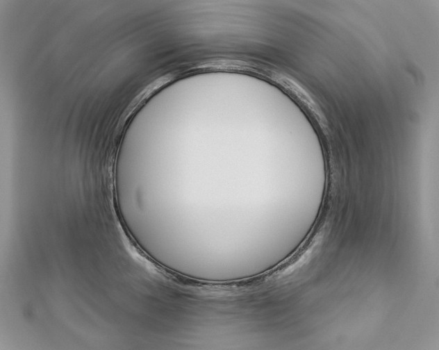 X0000113061049200908280943
