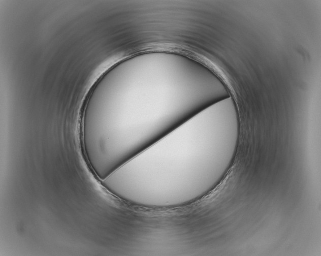 X0000113061050200908280943