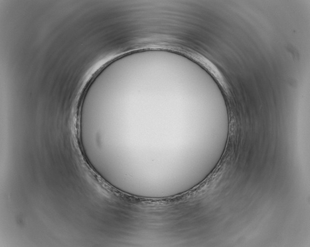 X0000113061051200908280943