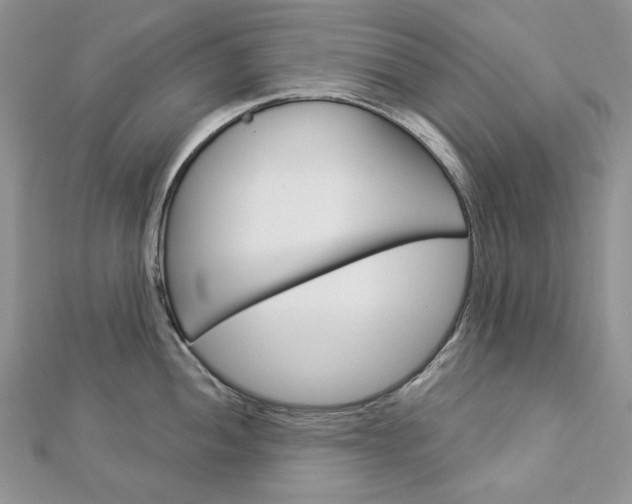 X0000113061052200908280943