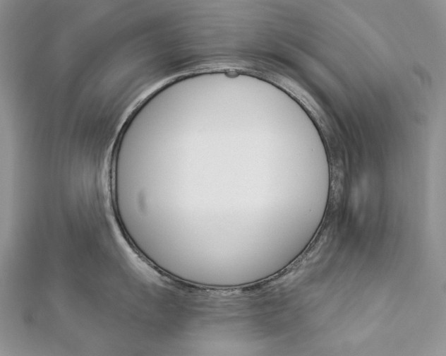 X0000113061055200908280943