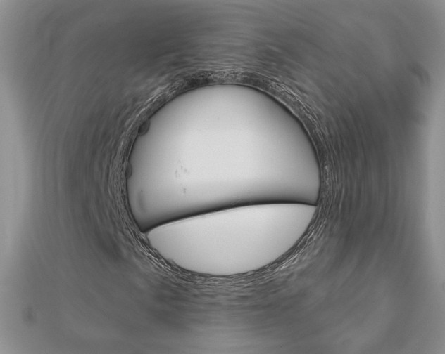 X0000113061057200908280942