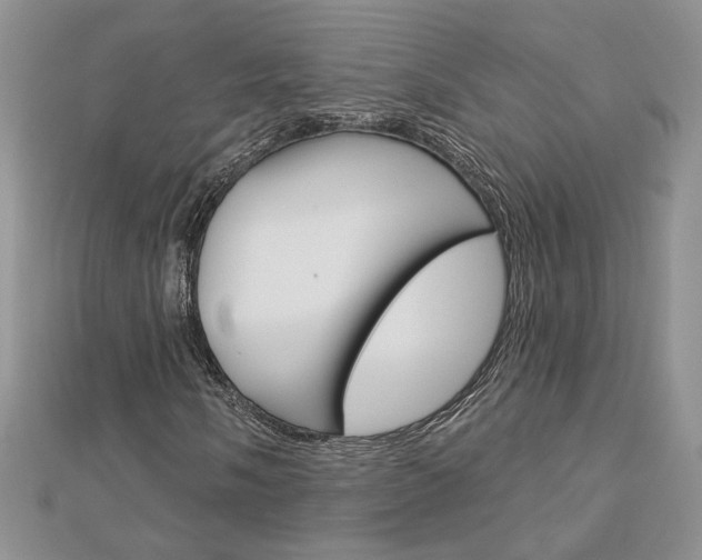 X0000113061058200908280942